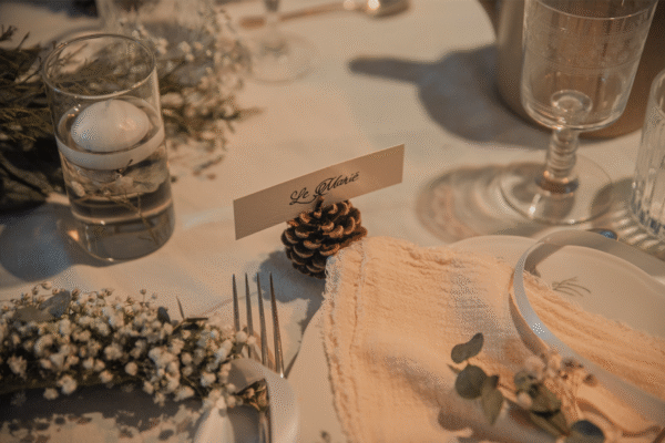 Lot de pommes de pin décoratives – Image 3