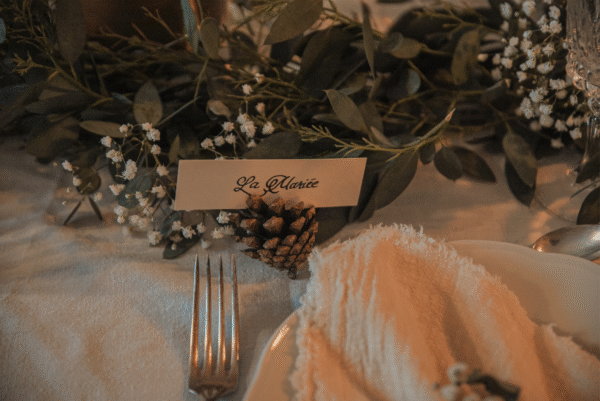 Lot de pommes de pin décoratives – Image 2